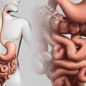 В нашем центре доступны новые комплексные обследования ЖКТ и печени