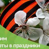 Режим работы «Династии» в праздники