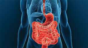 Диагностика болезни Крона