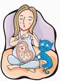 Диагностика токсоплазмоза