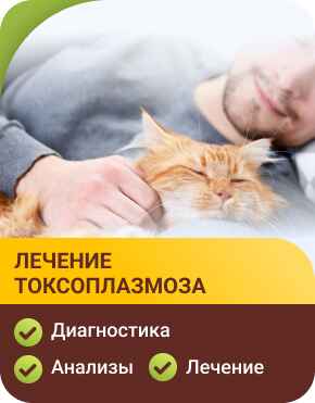 Лечение токсоплазмоза