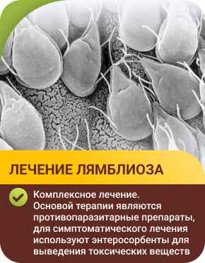 Лечение лямблиоза Лечение лямблиоза