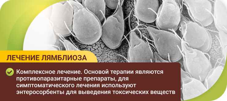 Лечение лямблиоза в клиники Лечение лямблиоза