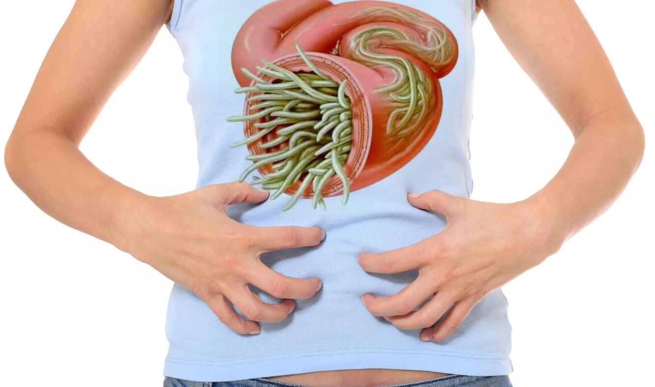 Лечение глистов и гельминтоза Лечение глистов и гельминтоза