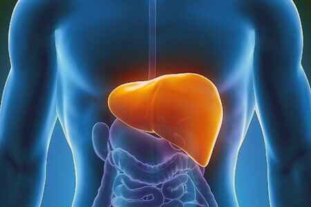 Аутоиммунное воспаление при гепатите