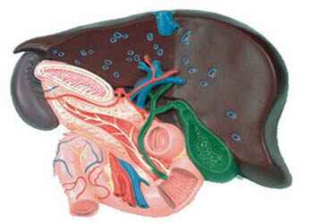 Протекание болезни