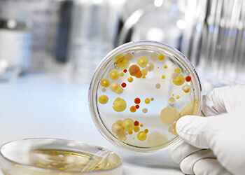 Лечение уреаплазмы у женщин и мужчин