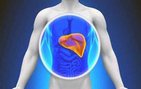 Лечение вирусного гепатита