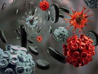 Вируса гепатита В