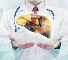 Поражение печени гепатитом B Лечение хронического гепатита B